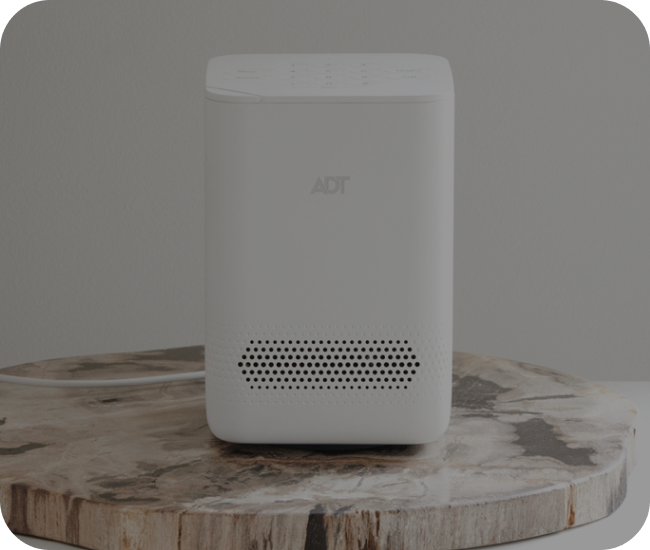 ADT Self Setup Support