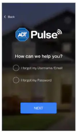 How do I reset my ADT Pulse app password?
