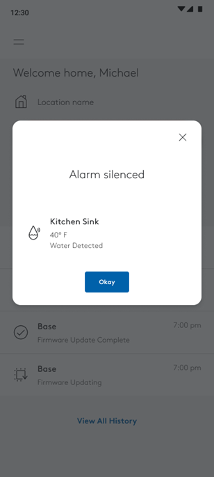 ADT and State Farm Water Leak Detection Package
